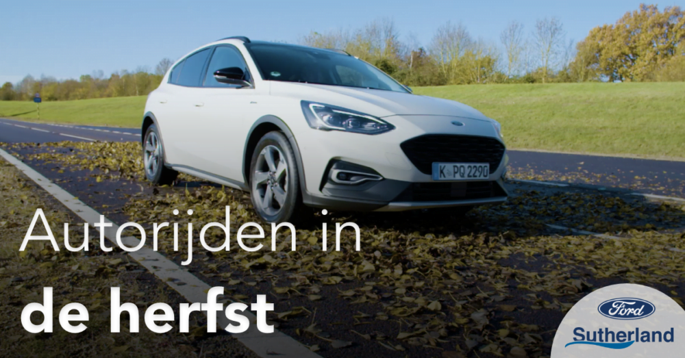 Ford die in de herfst rijdt